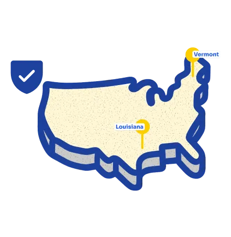 Louisiana and Vermont Data Privacy Laws What Businesses Need to Know - icon