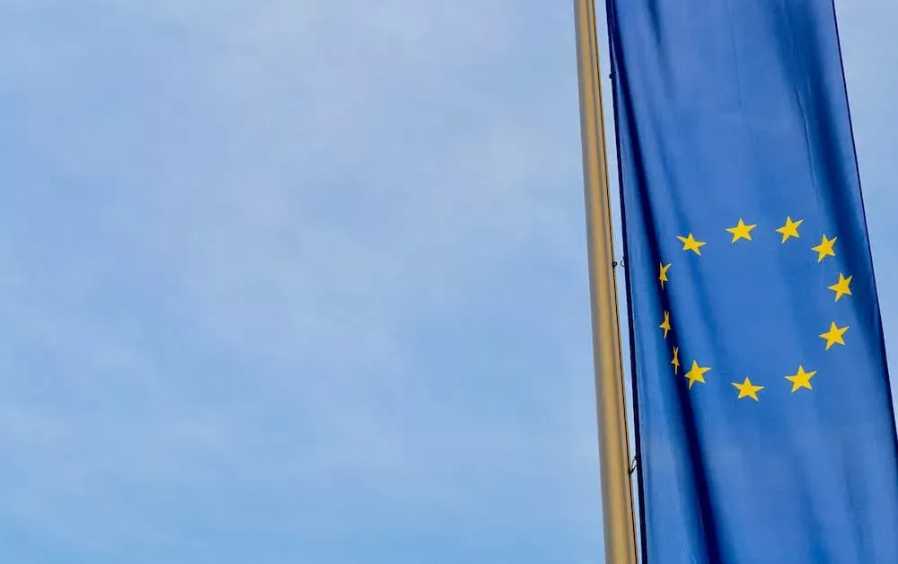 Pandectes GDPR Compliance app for Shopify Stores - The Digital Markets Act (DMA) and the Digital Services Act (DSA)- Critical differences - EU Flag