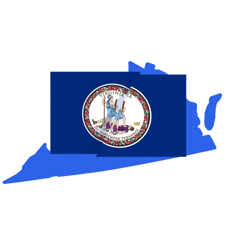 Understanding the Virginia Consumer Data Protection Act (VCDPA) - icon