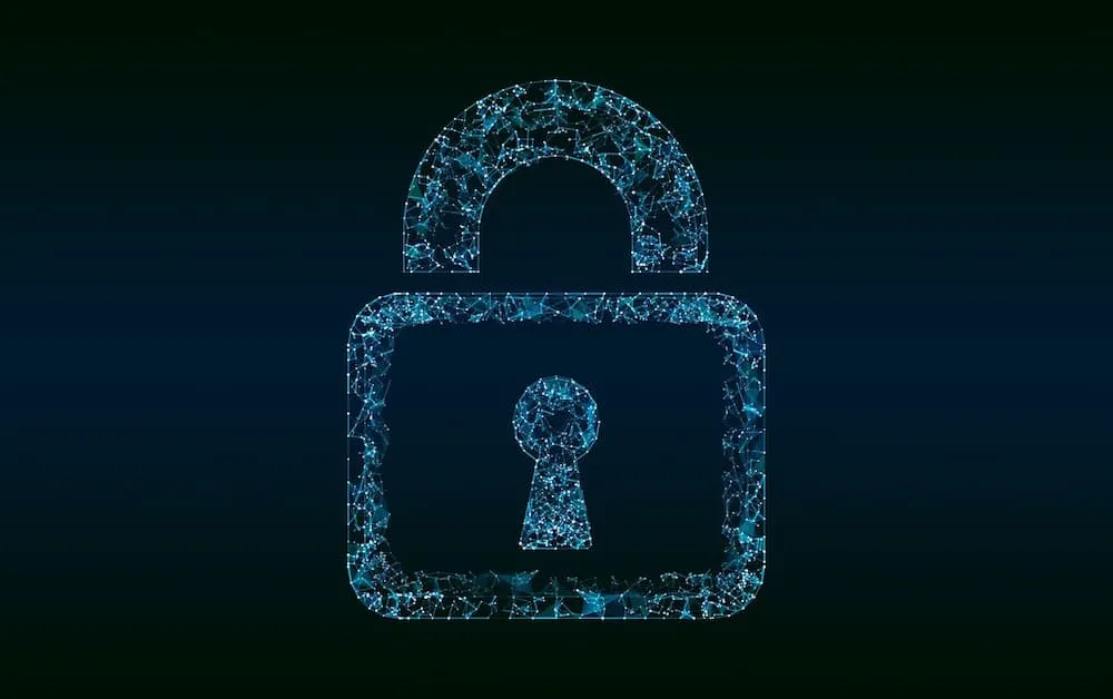 Pandectes GDPR Compliance app for Shopify Stores - Understanding the Virginia Consumer Data Protection Act (VCDPA) - Locker