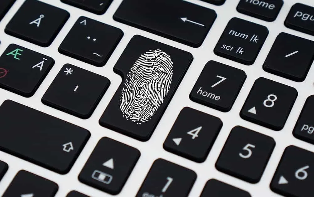 Pandectes GDPR Compliance app for Shopify stores - Compliance Essentials: Why Hashed Data Isn’t Anonymous - fingerprint