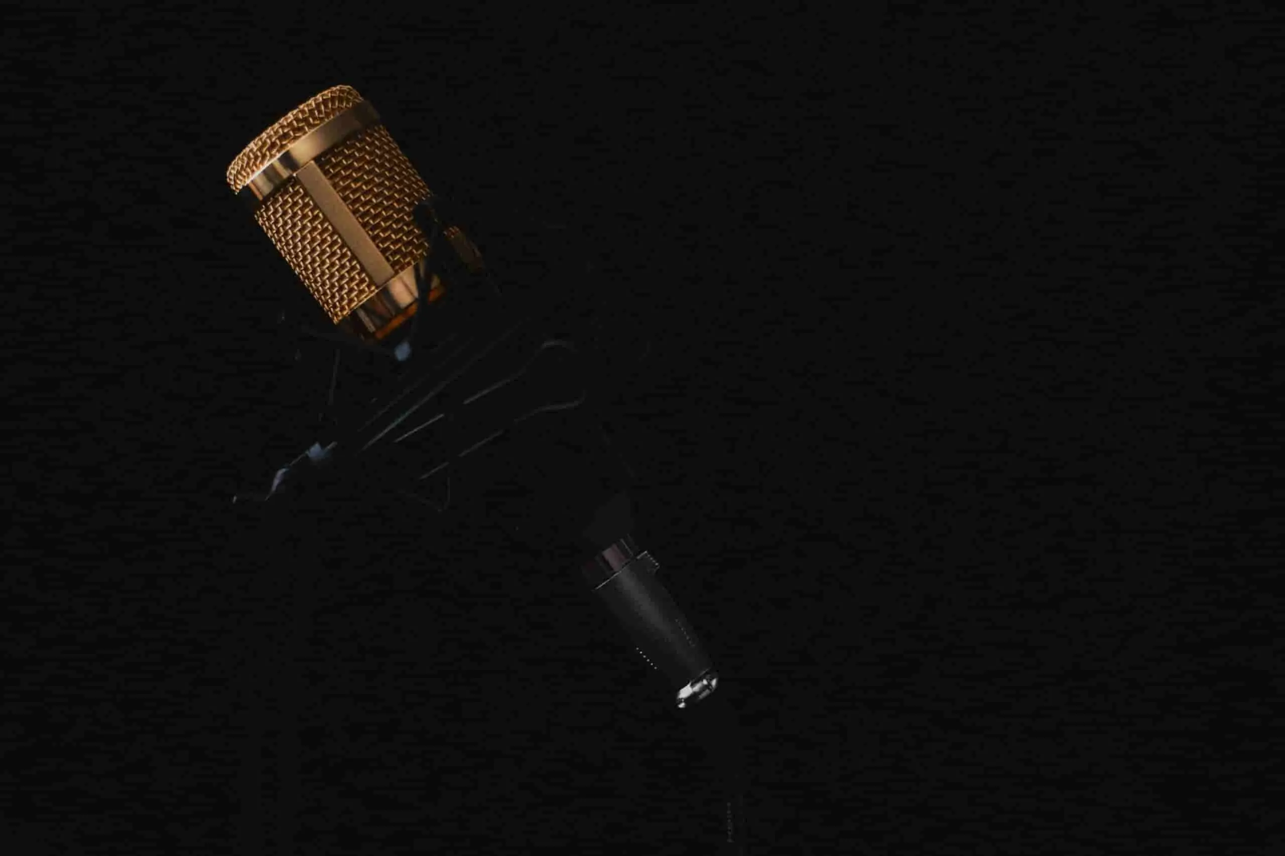 The Vital Role of Accessibility in Cookie Banners - microphone