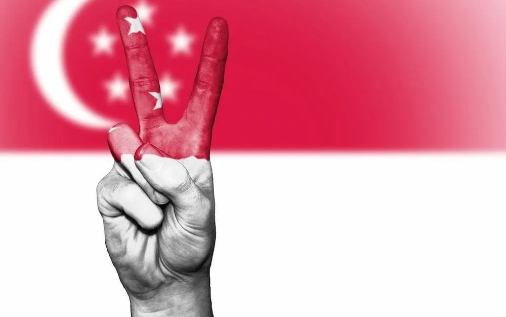 Singapore flag with hand