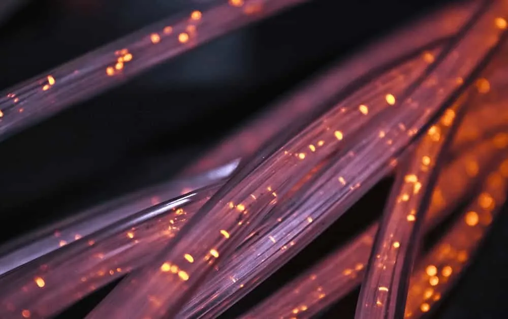 pandectes gdpr compliance for shopify - Data retention policies- How long should you keep personal data - fiber